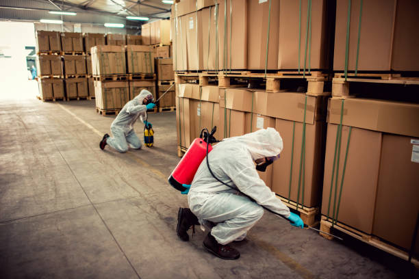 Best Termite Control Services  in Susan Moore, AL