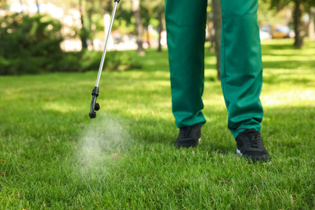 Best Best Pest Control Companies  in Susan Moore, AL