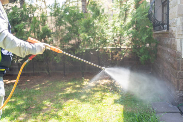 Trusted Susan Moore, AL Pest Control Experts
