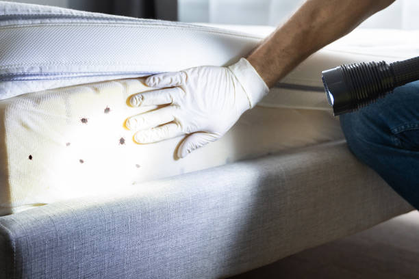 Best Commercial Pest Control Services  in Susan Moore, AL