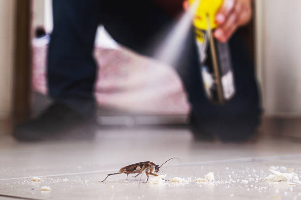Wildlife Control Services in Susan Moore, AL