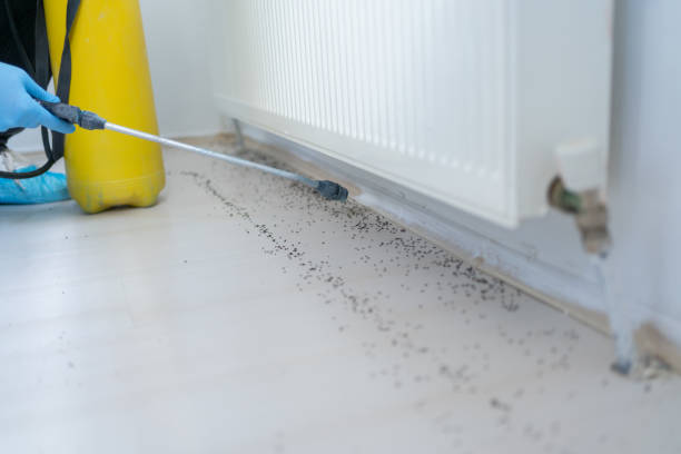 Best Best Pest Control Companies  in Susan Moore, AL