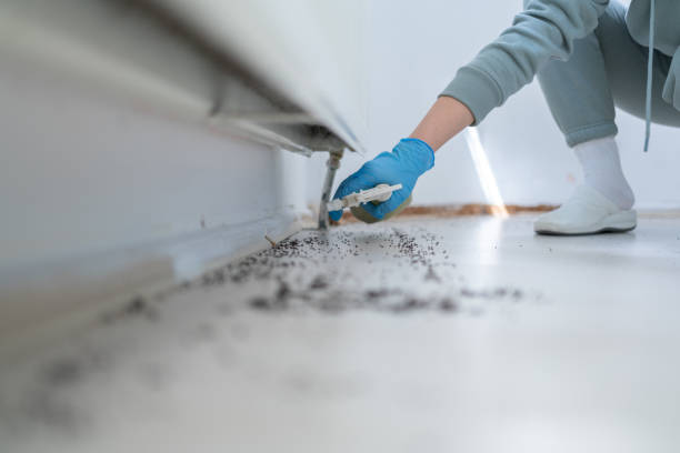 Best Pest Prevention Services  in Susan Moore, AL