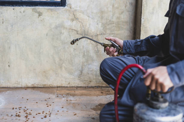 Wasp Removal Services in Susan Moore, AL